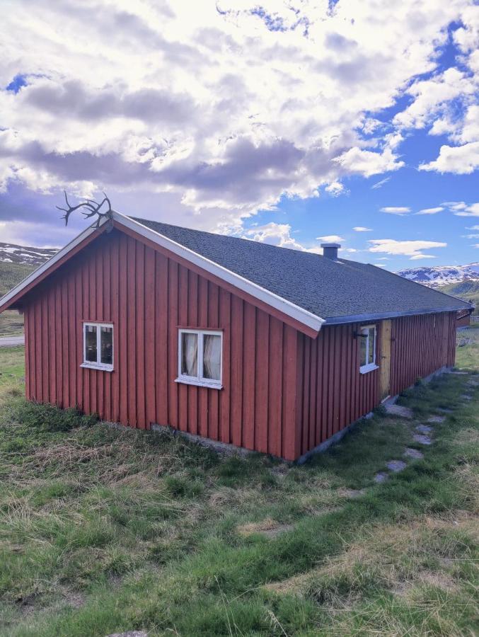 Kyrkjestolen B&B Tyinkrysset エクステリア 写真