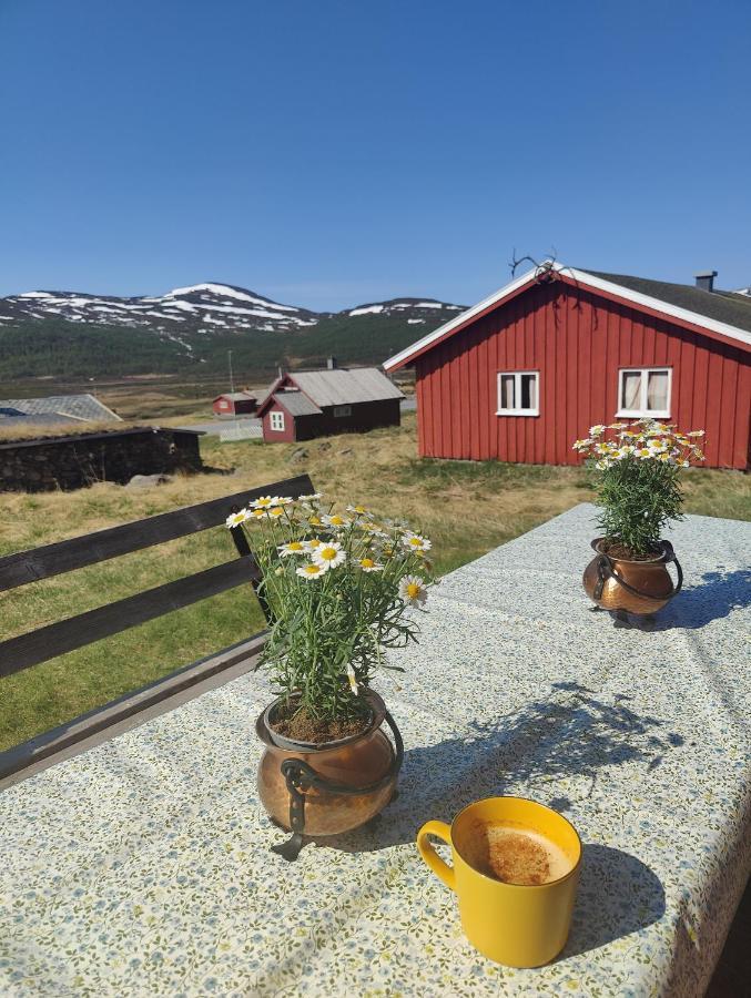 Kyrkjestolen B&B Tyinkrysset エクステリア 写真